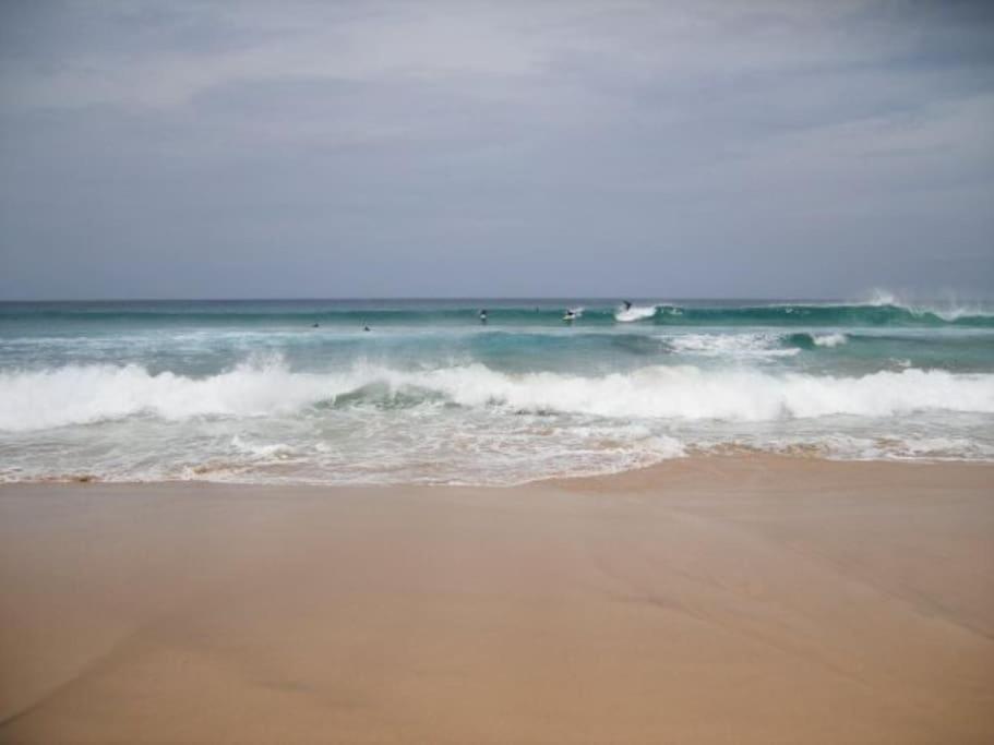Lovely Villa - Pool Front, Private Roof Terrace, Wifi Fiber Optic Corralejo Buitenkant foto